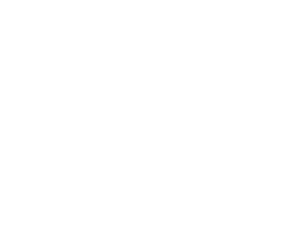 WP Engine Partner
